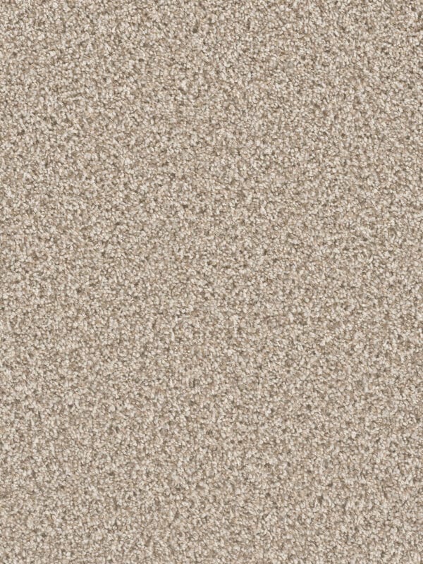 Dreamweaver Carpet Can'T Miss Seashells Carpet 4748_758