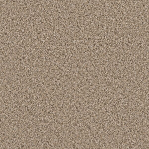 Dreamweaver Carpet Can'T Miss Mocha Carpet 4748_775