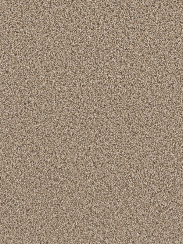 Dreamweaver Carpet Can'T Miss Mocha Carpet 4748_775