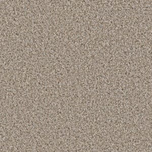 Dreamweaver Carpet Can'T Miss Iron Frost Carpet 4748_815