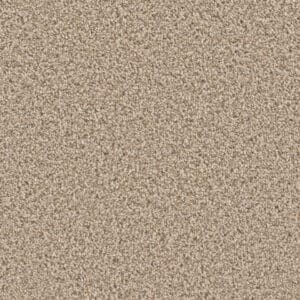 Dreamweaver Carpet Can'T Miss Linen Carpet 4748_824