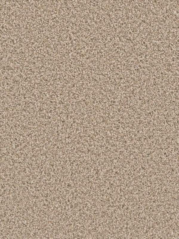 Dreamweaver Carpet Can'T Miss Linen Carpet 4748_824