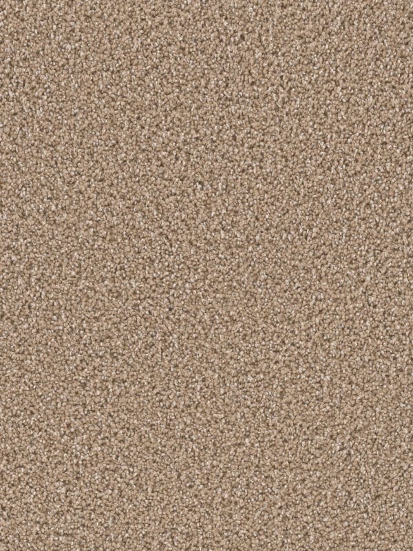 Dreamweaver Carpet Can'T Miss Wicker Carpet 4748_825