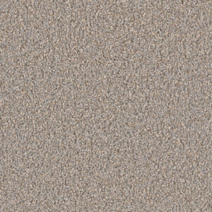 Dreamweaver Carpet Can'T Miss Shadows Carpet 4748_826