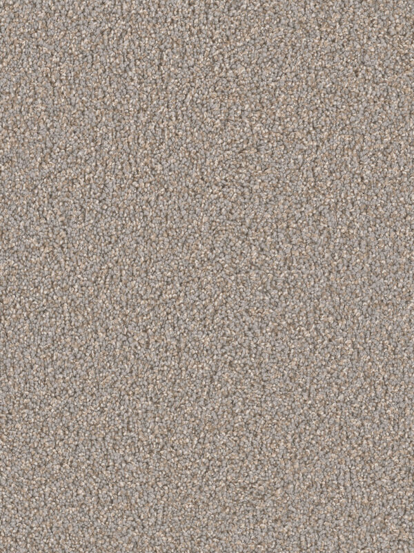 Dreamweaver Carpet Can'T Miss Shadows Carpet 4748_826