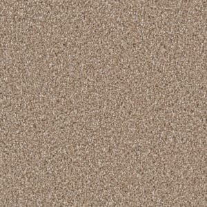 Dreamweaver Carpet Can'T Miss Acorn Carpet 4748_858
