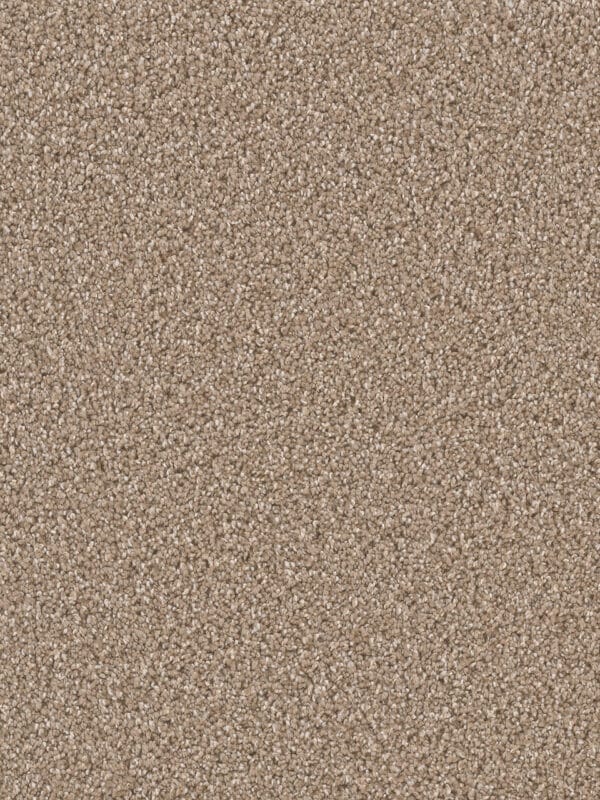 Dreamweaver Carpet Can'T Miss Acorn Carpet 4748_858