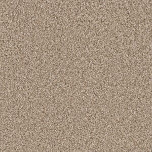 Dreamweaver Carpet Can'T Miss Tumbleweed Carpet 4748_883