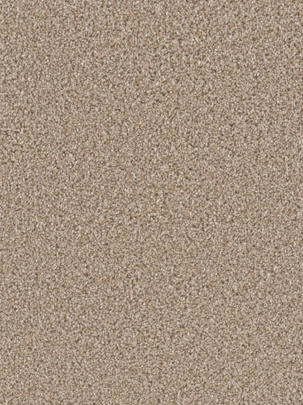 Dreamweaver Carpet Can'T Miss Tumbleweed Carpet 4748_883