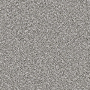 Dreamweaver Carpet Can'T Miss Moonstone Carpet 4748_903