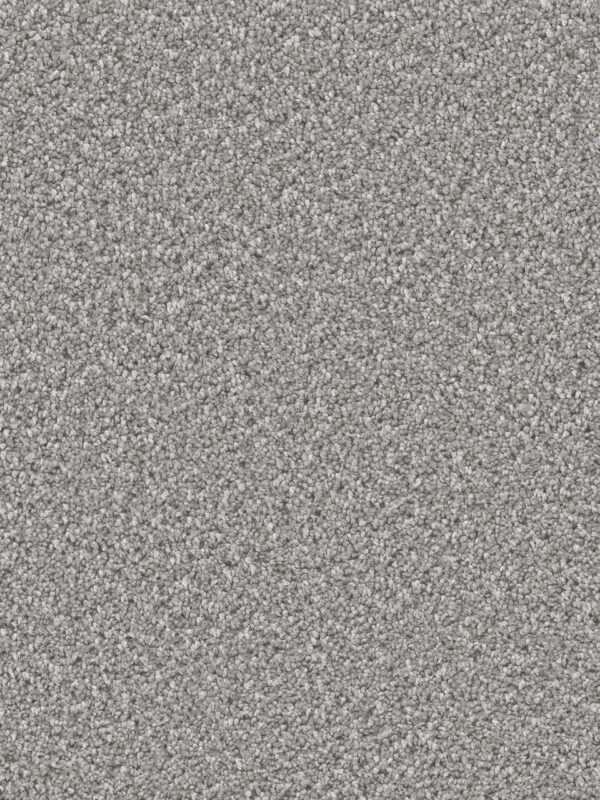 Dreamweaver Carpet Can'T Miss Moonstone Carpet 4748_903