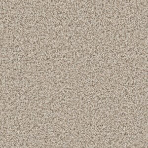 Dreamweaver Carpet Can'T Miss Stucco Carpet 4748_905