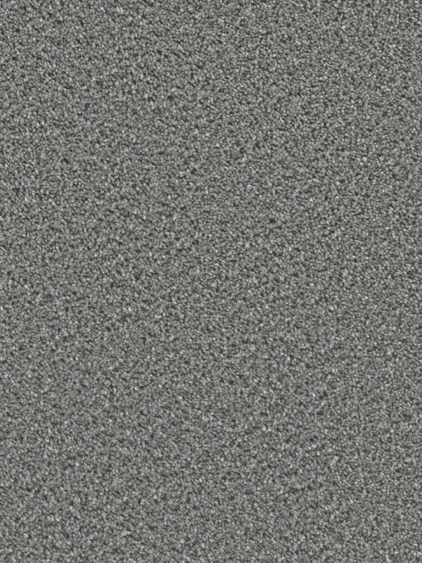 Dreamweaver Carpet Can'T Miss Galactic Carpet 4748_919