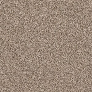 Dreamweaver Carpet Can'T Miss Ash Carpet 4748_945