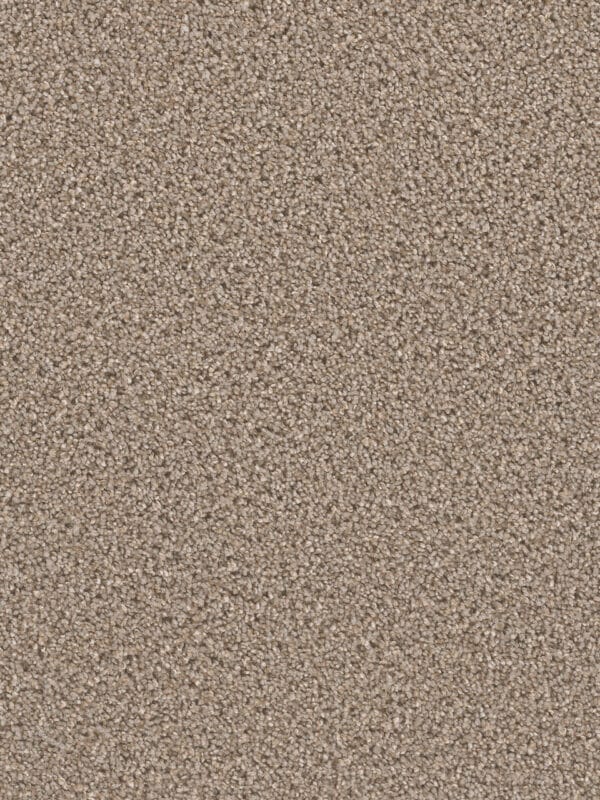 Dreamweaver Carpet Can'T Miss Ash Carpet 4748_945