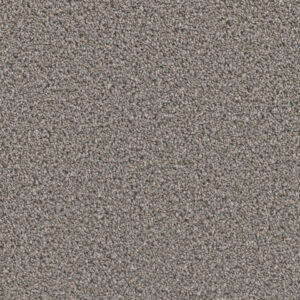 Dreamweaver Carpet Can'T Miss Orion Carpet 4748_955