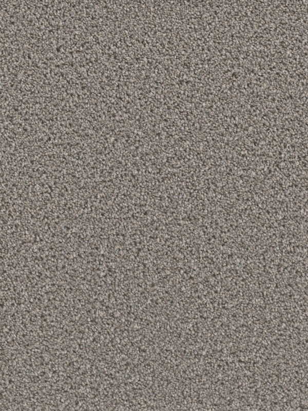 Dreamweaver Carpet Can'T Miss Orion Carpet 4748_955