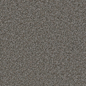 Dreamweaver Carpet Can'T Miss Magma Carpet 4748_958