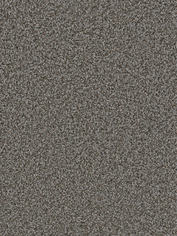 Dreamweaver Carpet Can'T Miss Magma Carpet 4748_958