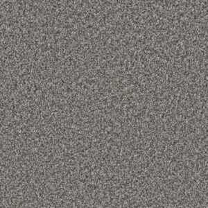 Dreamweaver Carpet Can'T Miss Zinc Carpet 4748_959