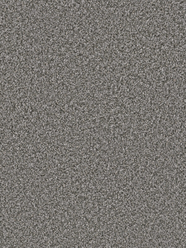 Dreamweaver Carpet Can'T Miss Zinc Carpet 4748_959