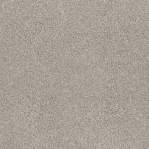 Dreamweaver Carpet Stunning Porcelain Carpet 4765_486