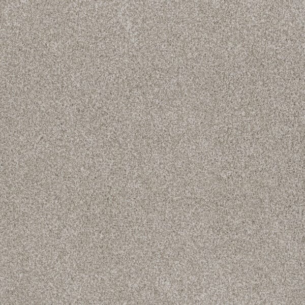 Dreamweaver Carpet Stunning Porcelain Carpet 4765_486