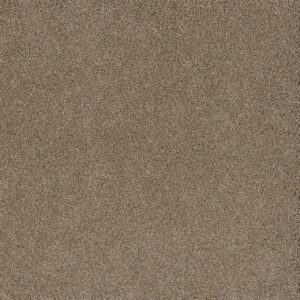 Dreamweaver Carpet Stunning Straw Carpet 4765_551