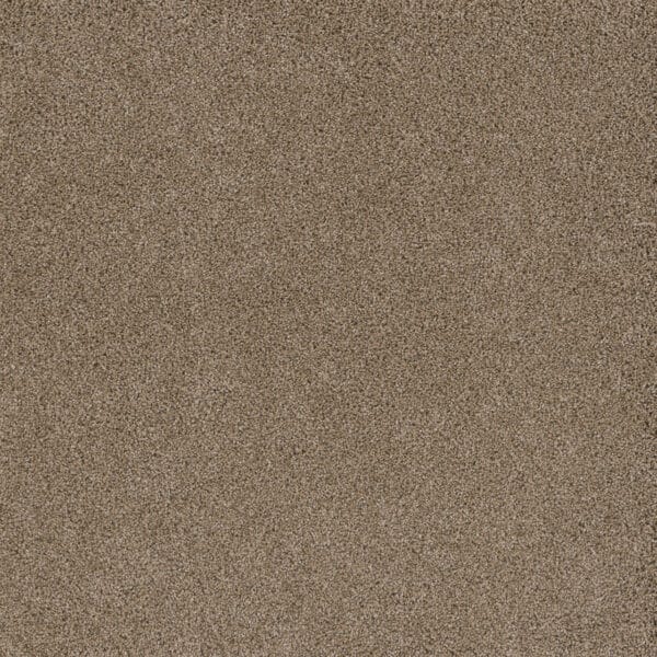 Dreamweaver Carpet Stunning Straw Carpet 4765_551