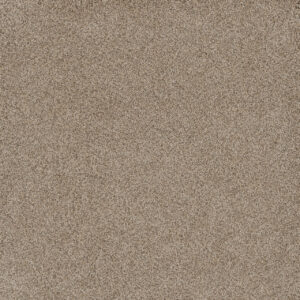 Dreamweaver Carpet Stunning Oxford Carpet 4765_720
