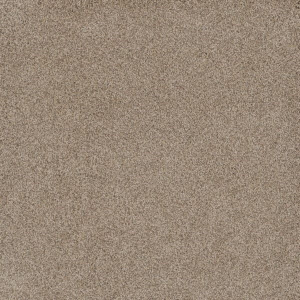 Dreamweaver Carpet Stunning Oxford Carpet 4765_720
