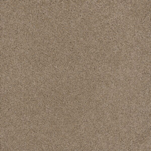 Dreamweaver Carpet Stunning Ginger Carpet 4765_726