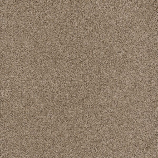 Dreamweaver Carpet Stunning Ginger Carpet 4765_726