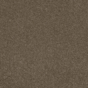 Dreamweaver Carpet Stunning Peppercorn Carpet 4765_753