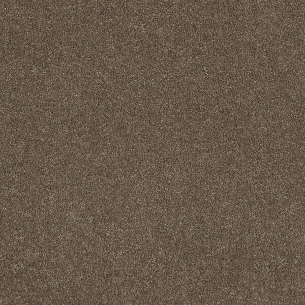 Dreamweaver Carpet Stunning Peppercorn Carpet 4765_753