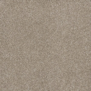 Dreamweaver Carpet Stunning Seashells Carpet 4765_758