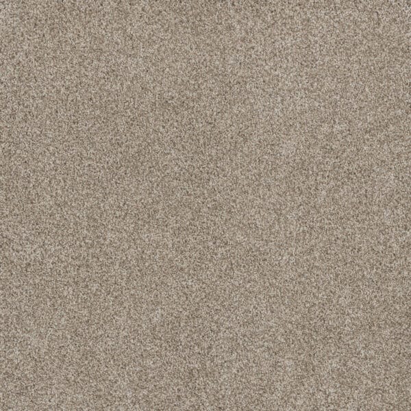 Dreamweaver Carpet Stunning Seashells Carpet 4765_758