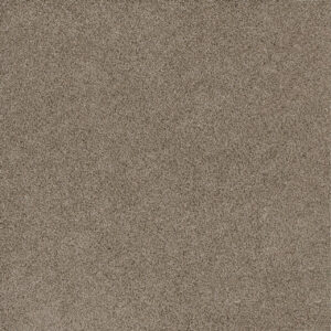 Dreamweaver Carpet Stunning Mocha Carpet 4765_775