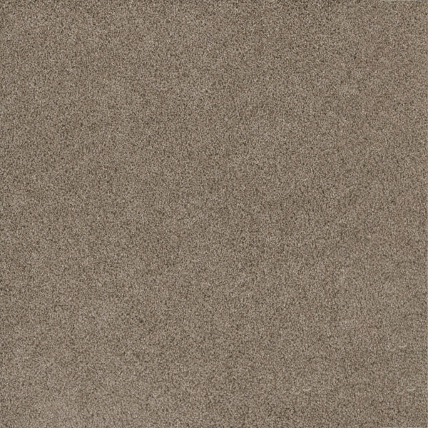Dreamweaver Carpet Stunning Mocha Carpet 4765_775