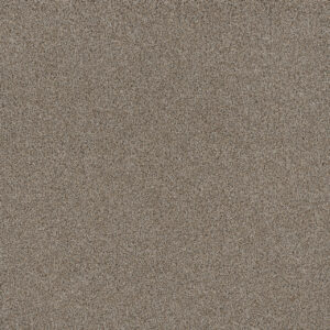Dreamweaver Carpet Stunning Iron Frost Carpet 4765_815