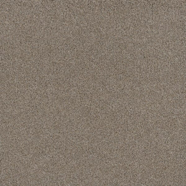 Dreamweaver Carpet Stunning Iron Frost Carpet 4765_815