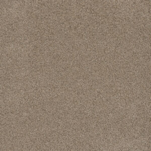Dreamweaver Carpet Stunning Linen Carpet 4765_824