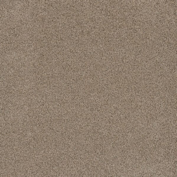 Dreamweaver Carpet Stunning Linen Carpet 4765_824
