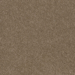 Dreamweaver Carpet Stunning Wicker Carpet 4765_825