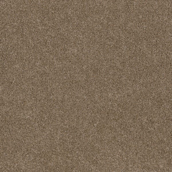 Dreamweaver Carpet Stunning Wicker Carpet 4765_825