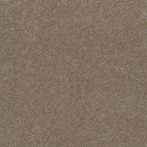 Dreamweaver Carpet Stunning Tumbleweed Carpet 4765_883