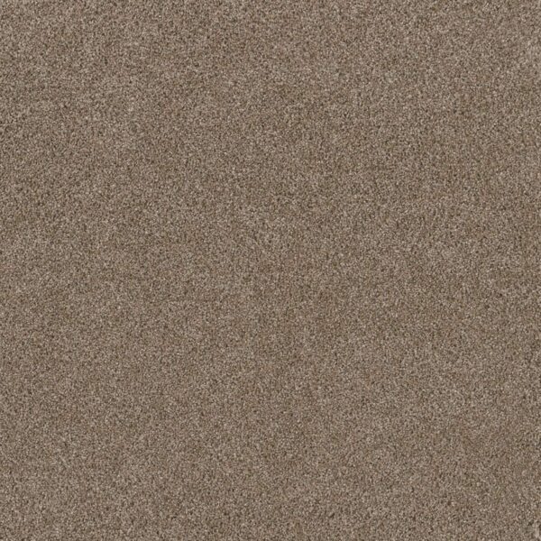 Dreamweaver Carpet Stunning Tumbleweed Carpet 4765_883