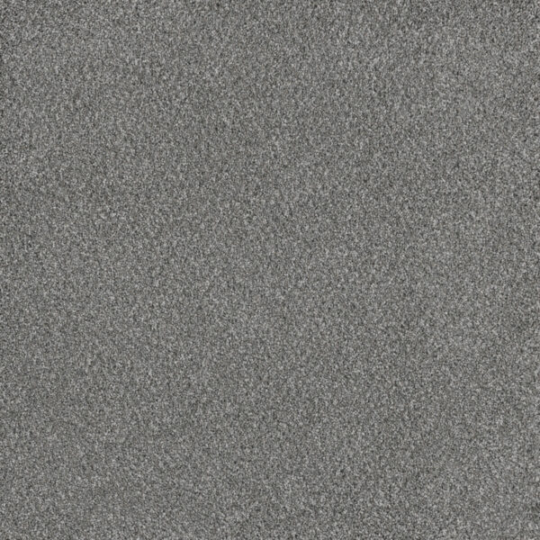 Dreamweaver Carpet Stunning Moonstone Carpet 4765_903