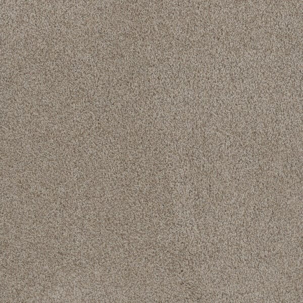 Dreamweaver Carpet Stunning Stucco Carpet 4765_905