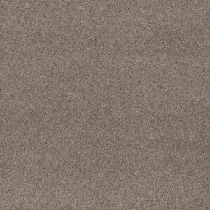 Dreamweaver Carpet Stunning Ash Carpet 4765_945